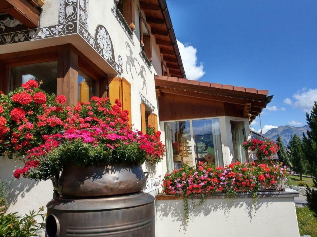 Chesa Sper L'Ovel Brail Apartamento Zernez Exterior foto